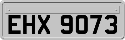 EHX9073