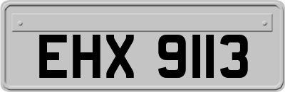 EHX9113