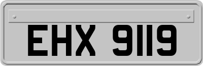EHX9119