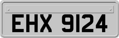 EHX9124