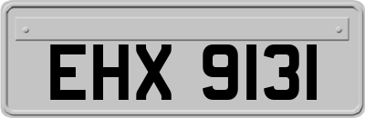 EHX9131