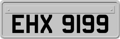 EHX9199