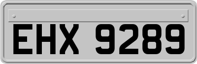 EHX9289