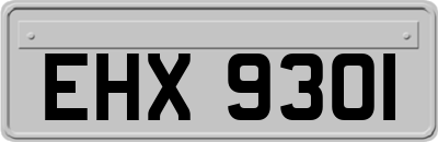 EHX9301