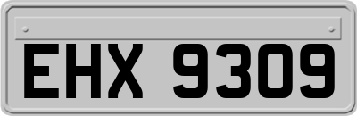 EHX9309