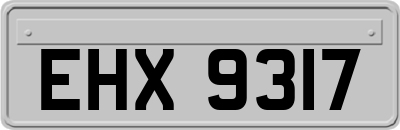 EHX9317