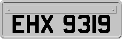 EHX9319