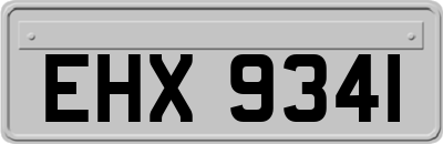 EHX9341