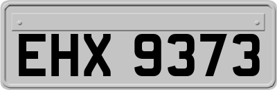 EHX9373