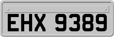 EHX9389