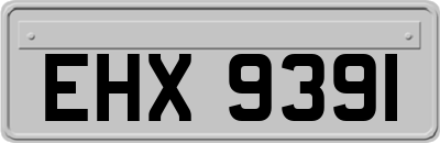 EHX9391