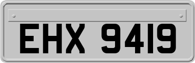 EHX9419