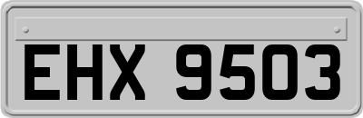 EHX9503