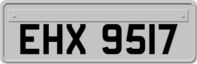 EHX9517