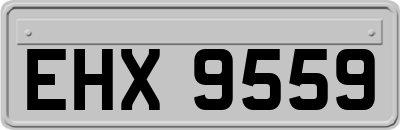 EHX9559