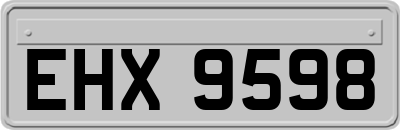 EHX9598