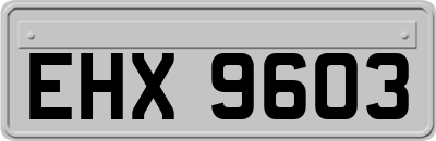 EHX9603