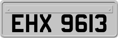 EHX9613