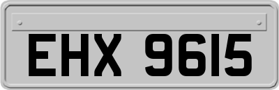 EHX9615