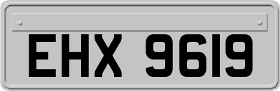 EHX9619