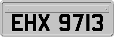 EHX9713
