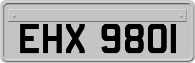 EHX9801