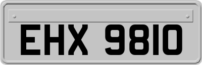 EHX9810
