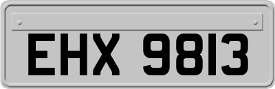 EHX9813