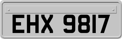 EHX9817