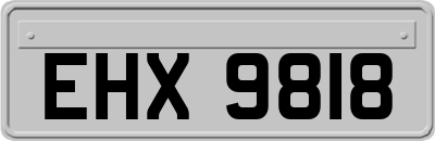 EHX9818