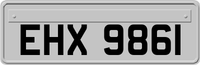 EHX9861