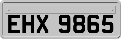EHX9865
