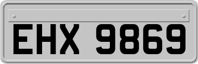 EHX9869