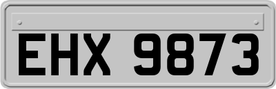 EHX9873