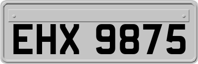 EHX9875