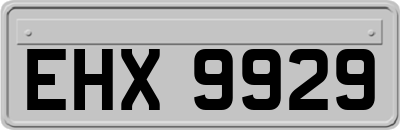 EHX9929