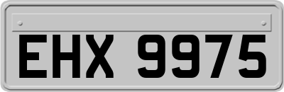 EHX9975