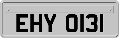 EHY0131