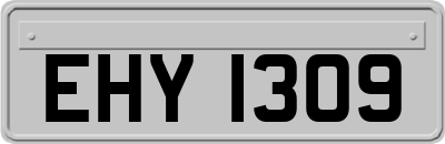 EHY1309