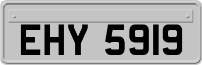 EHY5919
