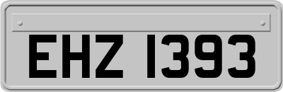 EHZ1393