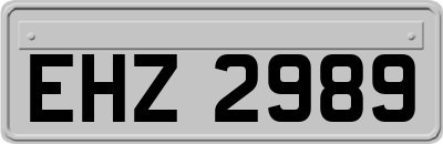 EHZ2989