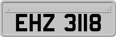 EHZ3118