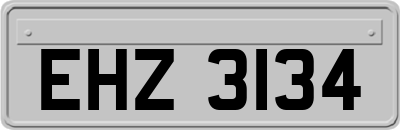 EHZ3134