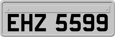 EHZ5599