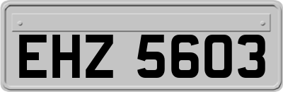 EHZ5603