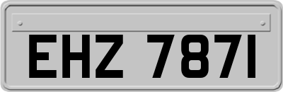 EHZ7871