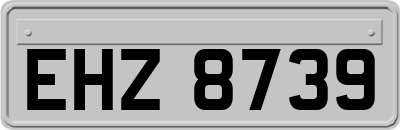 EHZ8739