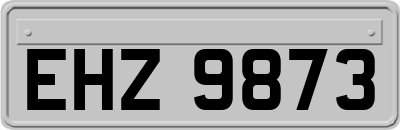EHZ9873