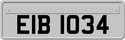 EIB1034